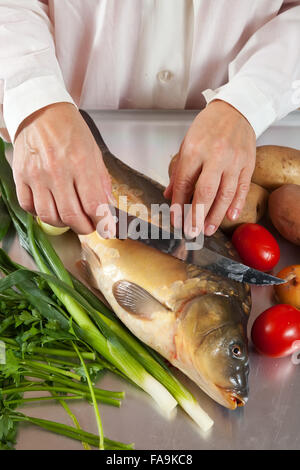 Closeup of cook cooking carp fish  in kitchen Stock Photo