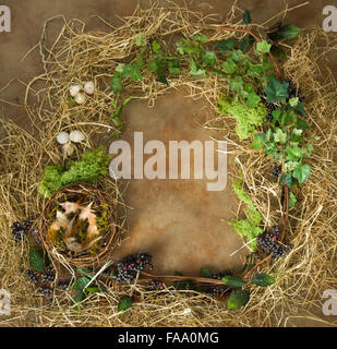 Border frame image made of berries, spring leaves and a bird's nest Stock Photo