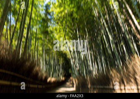 Arashiyama Bamboo Grove, Ukyo Ward, Kyoto, Kyoto Prefecture, Japan Stock Photo