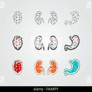Stylized human organs icons Stock Vector