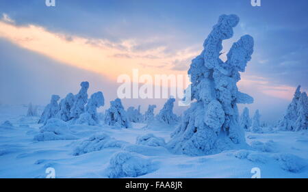 Winter snow landscape at sunset time, Karkonosze Mountains, Poland Stock Photo