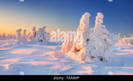 Winter scenery in Karkonosze Mountains, Szrenica Mountain, Poland Stock Photo