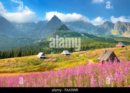 Gasienicowa Valley, Tatra Mountains, Poland Stock Photo