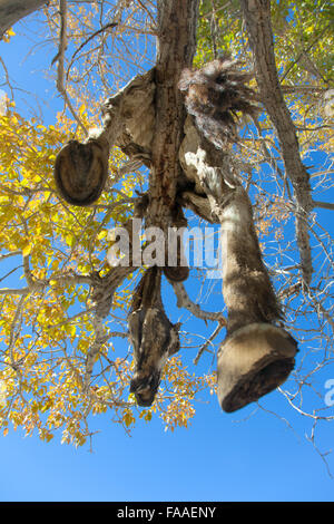 Hide sacrificial horse hanging on the tree Stock Photo