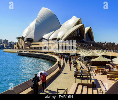 People enjoying the day in Sydney, drinking at the Opera Bar, Sydney, New South Wales, Australia Stock Photo