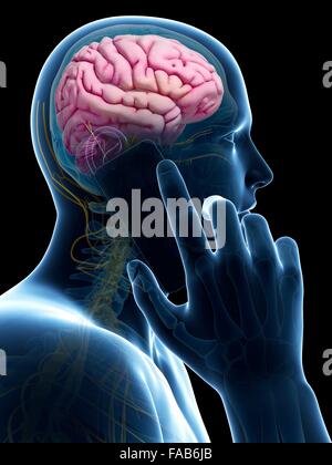 The influence of using a cell phone on the human brain, computer ...