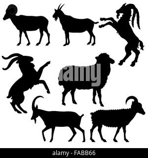 Vector illustration of the goats and sheeps Stock Vector