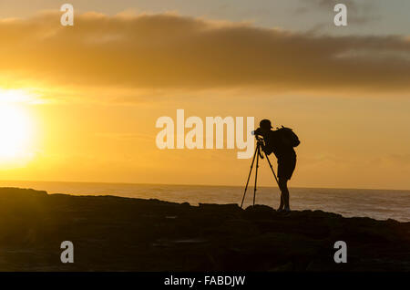 A young male photographer is silhouetted against the rising sun at dawn on the rocks near a Sydney beach in Australia Stock Photo