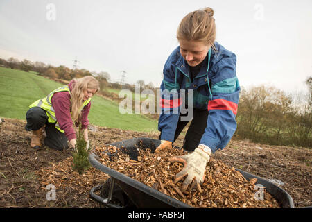Volunteers from the University of Manchester plant trees at Wythenshawe Sports Ground. Stock Photo