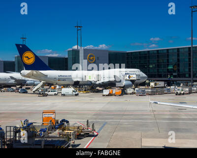 Lufthansa Boeing 747 at Frankfurt Airport, Hesse, Germany Stock Photo ...
