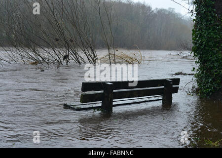 26th December 2015. Gainford, County Durham, UK. A bench is partially submerged after the River Tees is swollen following heavy and persistent rain across Teesdale in County Durham on Boxing Day. Severe flood warnings have been issued for many parts of the UK. Credit:  Robert Smith/Alamy Live News Stock Photo