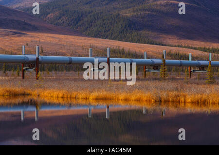 Alyeska Pipeline from the Dalton Highway, Alaska. Stock Photo