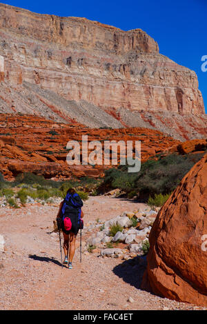 Hiking to Havasu Falls, Havasupai Indian Reservation, Grand Canyon, Arizona. Stock Photo