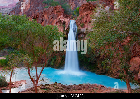 Havasu Falls, Havasupai Indian Reservation, Grand Canyon, Arizona. Stock Photo