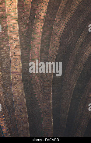 Nice brown surface with many small squares and blue lines Stock Photo