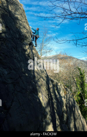 Mature male rock climber on cliff face with trees and blue sky Stock Photo