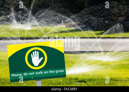 Despite the worst drought in living memory, that has lasted over four years, people are still watering their lawns in Fresno, Ca Stock Photo