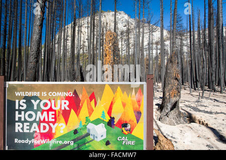 A forest fire destroys an area of forest in the Little Yosemite Valley in the Yosemite National Park, California, USA. Following Stock Photo