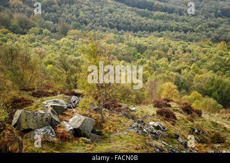 View from tumbling hill near Nether Padley in the Peak District, Derbyshire. Autumn colour in the woodlands below. Stock Photo