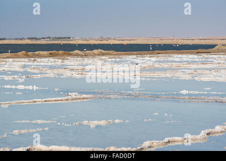Salt pans just outside Walvis Bay with flamingos in the background Stock Photo