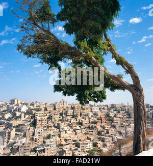 View at Amman in Jordan. Seen from the citadel Stock Photo