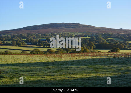 View across farm fields near Tavistock, looking towards Cox Tor on the horizon in Dartmoor National Park. Devon, England Stock Photo