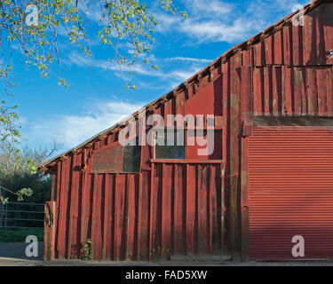 Left half of an old wooden barn in Davis, California, on a sunny day Stock Photo