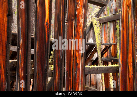 Coolidge Ghost Town, Beaverhead-Deerlodge National Forest, Montana Stock Photo