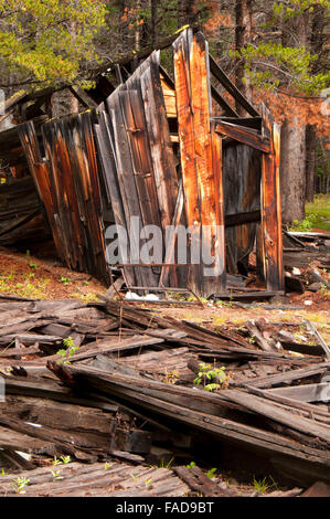 Coolidge Ghost Town, Beaverhead-Deerlodge National Forest, Montana Stock Photo