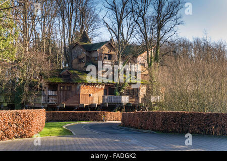 The Treehouse in Alnwick Castle Garden built high in a copse of mature lime trees houses restaurants and other facilities Stock Photo