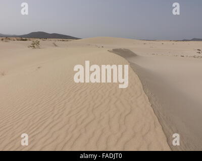 Sand patterns on the Nature reserve, Park Natural, Corralejo ...