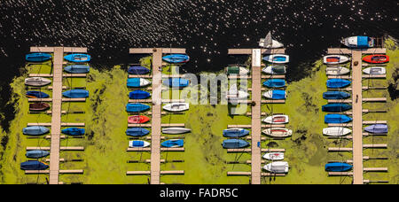 Aerial view, Elodea algal blooms, Bochum Kemnader Reservoir, city limit, between Bochum and Witten, algae and sailboats Stock Photo