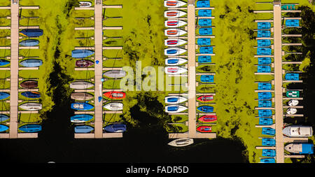 Aerial view, Elodea algal blooms, Bochum Kemnader Reservoir, city limit, between Bochum and Witten, algae and sailboats Stock Photo