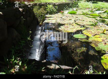 Parc Bougainville in the centre of Papeete, French Polynesia. Stock Photo