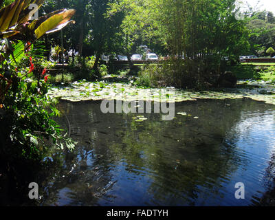 Parc Bougainville in the centre of Papeete, French Polynesia. Stock Photo