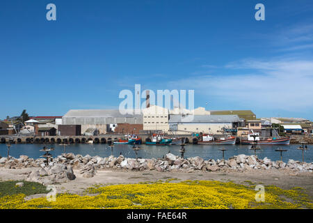 Bird Island showing seabird nesting platforms and view of town, Lambert's Bay, Western Cape, South Africa Stock Photo