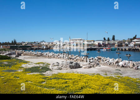 Bird Island showing seabird nesting platforms and view of town, Lambert's Bay, Western Cape, South Africa Stock Photo