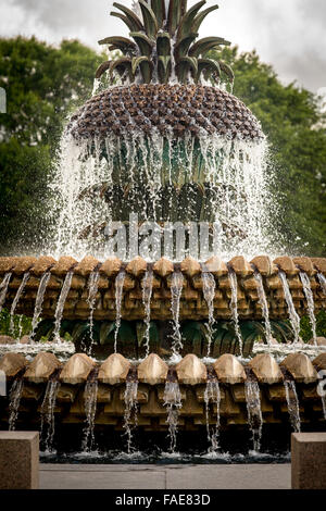 Water Fountain in Charleston South Carolina Stock Photo