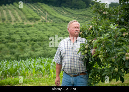 Farmer looking over his crops Stock Photo