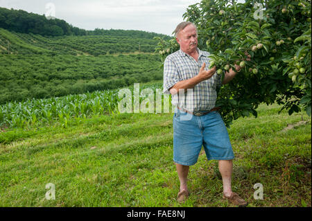 Farmer looking over his crops Stock Photo