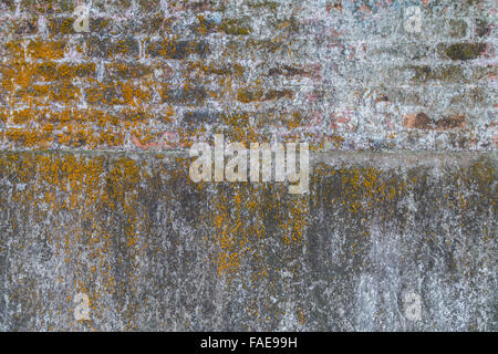 Weathered and aged grey concrete and brick wall with yellow moss. Stock Photo