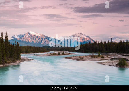 Athabasca River with mountains Kerkeslin and Hardisty in the background, Jasper Nationalpark, Alberta, Canada Stock Photo