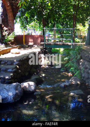 Parc Bougainville in the centre of Papeete, French Polynesia. Stock Photo