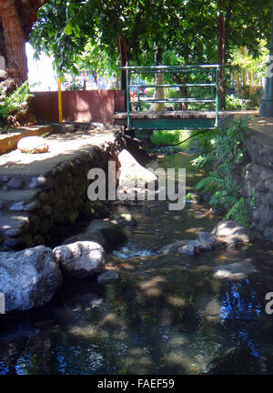 Parc Bougainville in the centre of Papeete, French Polynesia. Stock Photo