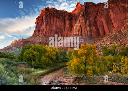 Last light on Utah's Capitol Reef National Park with moon rise over the Fremont River and autumn changing cottonwood trees below Stock Photo