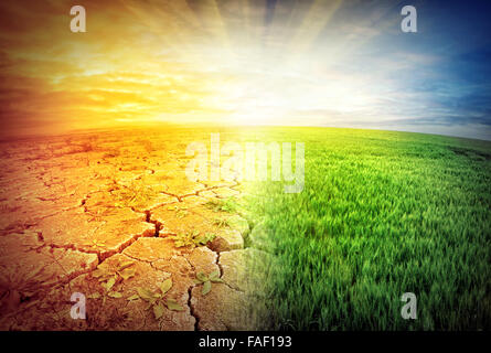 Cracked and fertile land on planet under bright sky Stock Photo