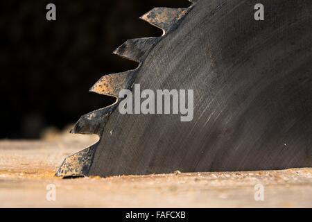 Switched off old rusty sharp circular saw blades closeup Stock Photo