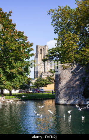 The 14th century moat surrounding the 13th century Bishops Palace in the cathedral city of Wells, Somerset UK Stock Photo
