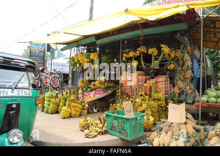 Fruit market stall by roadside in Sri Lanka selling bananas with tuk tuk Stock Photo