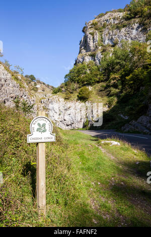 Cheddar Gorge - a limestone gorge in the Mendip Hills, Cheddar, Somerset UK Stock Photo